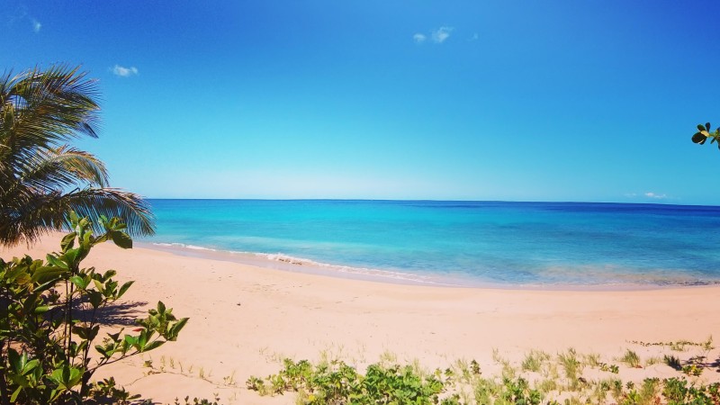 Studio Tortue Imbriquée