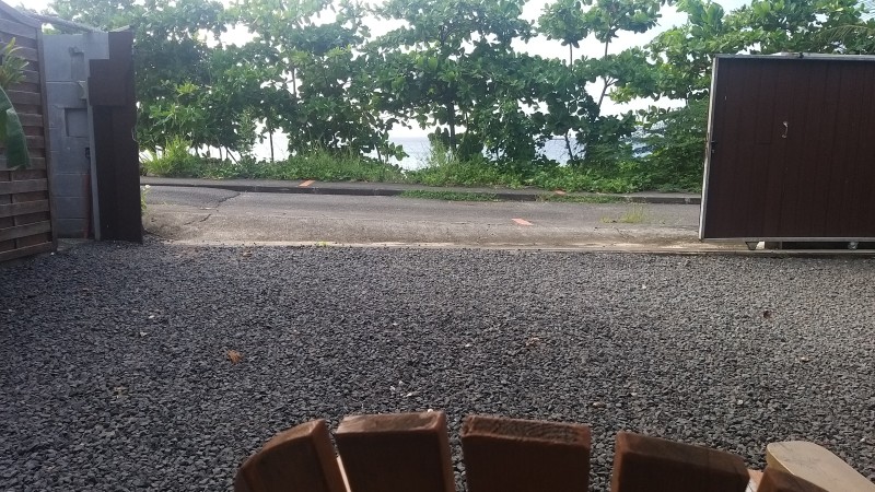 Studio Tortue Imbriquée